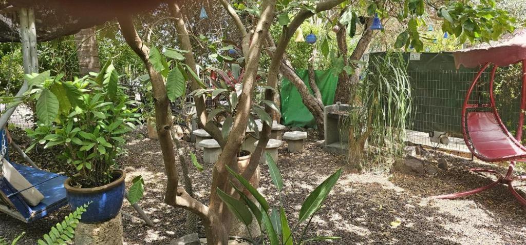 נופש דביר - סוויטות מהממות ובקתה כפרית עם ג'קוזי ליד הכנרת - יש מקלט צמוד Villa Migdal Cameră foto